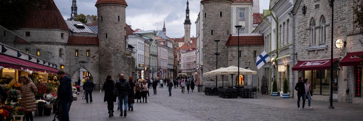Serwis Higher education in Estonia - universities, bachelor